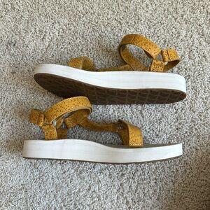 Golden Star Teva’s